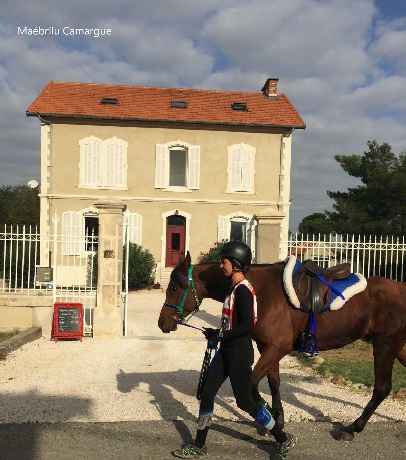Bed and Breakfast Maebrilu Camargue Provence Салін-де-Жирод Екстер'єр фото